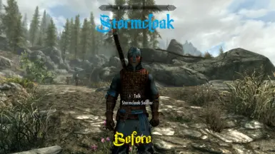 Stormcloak Before