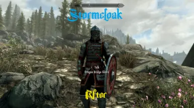 Stormcloak After