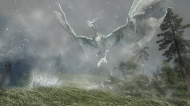 Majestic Dragons Gracile -Epic Dragon Combat and New Dragons