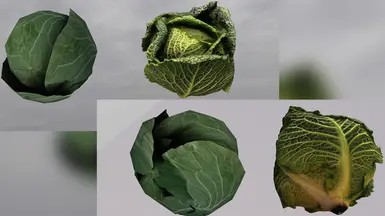Cabbage Before After