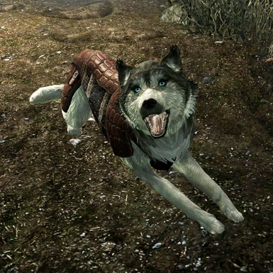 Picture from Unofficial Elder Scrolls Pages.