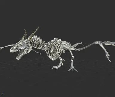 Dragon skeleton