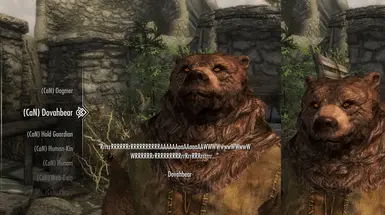 Dovahbear