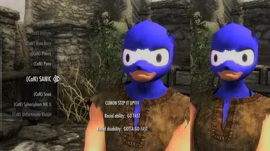 Sanic