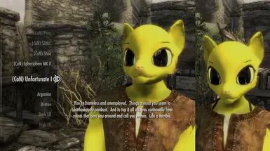 Unfortunate Khajiit