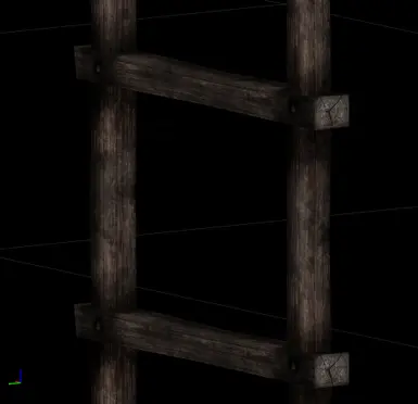 New ladder ( laddertall.nif ) not the one in thieves guild etc. leading to trap doors.