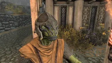 Argonian v2