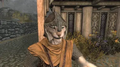 Khajit v2