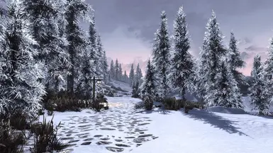 Obsidian Weathers and Seasons ENB  5  result