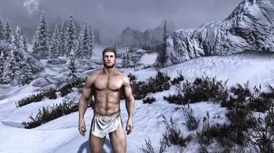 Obsidian Weathers and Seasons ENB  6  result