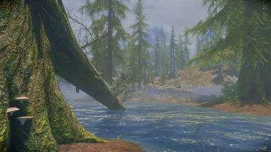 [VANILLA] Rest by the lake