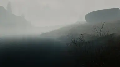 Water's Edge - Heavy Fog Patch