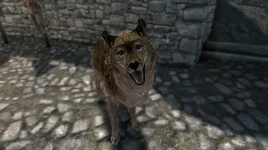 New Bellyache Texture for Companion wolf Masser