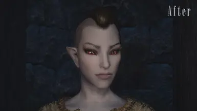 Dunmer - AFTER (Vanilla Sliders)