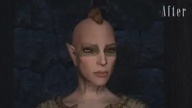 Bosmer - AFTER (Vanilla Sliders)