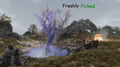 Freshly Picked SSE