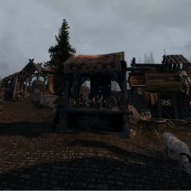 Whiterun Roofs