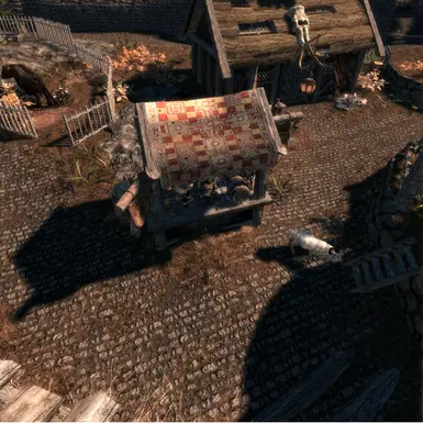 Whiterun Roofs