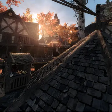 Riften Roofs