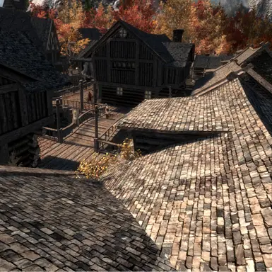 Riften Roofs