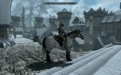 Ride your Skyrim horses in Bruma.