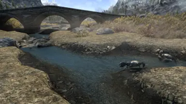 v5.5 - Tundra Stream (ENB) Before