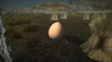 Chicken's Egg