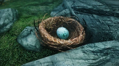 Rock Warbler Nest and Egg.