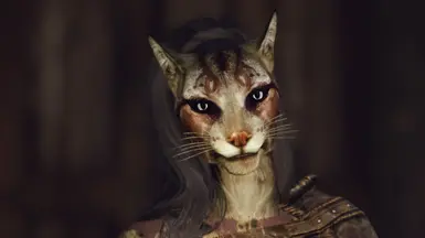 Miriarr - Khajiit