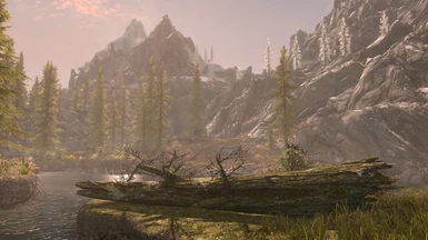 Skyrim SE graphic DoF and LOD effects