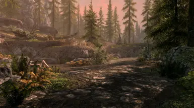 Skyrim SE graphic DoF and LOD effects