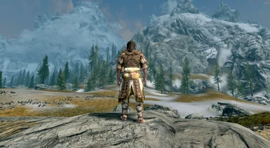 14 Scaled Armor male back