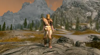 20 Scaled Horn Armor female back