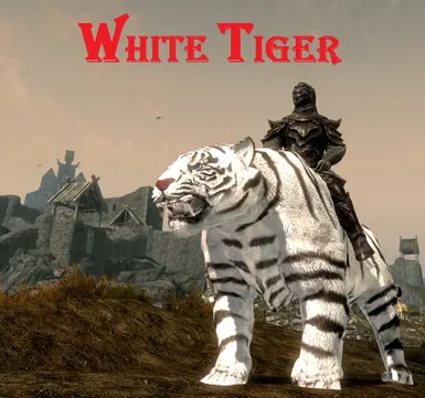 White Tiger