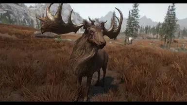 War Elk