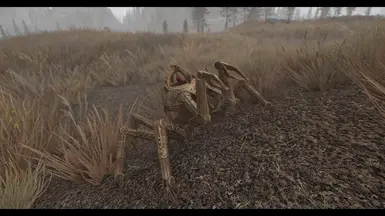 Dwarven Spider