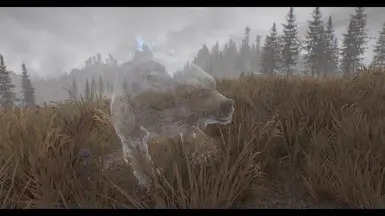 Frost Bear