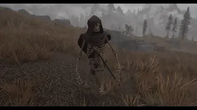 Skeleton Necromancer