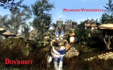 Dovahbit in Morrowind