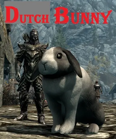 Dutch Bunny