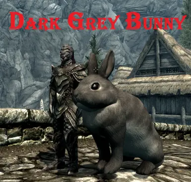 Dark Grey Bunny