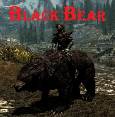 black bear