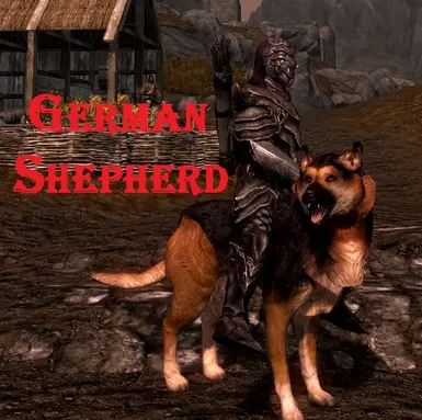 German Shepherd