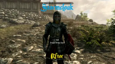 Stormcloak After