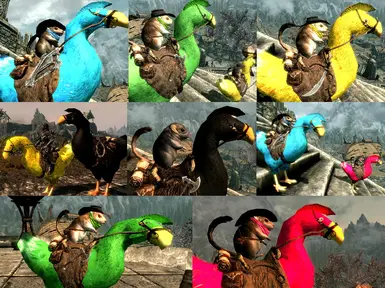 Chocobos