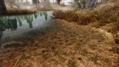 Frozen Marsh Water Edge