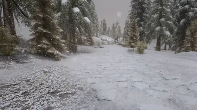 Snow Grass and Snow