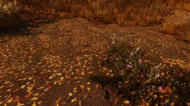 Leaves in the Rift