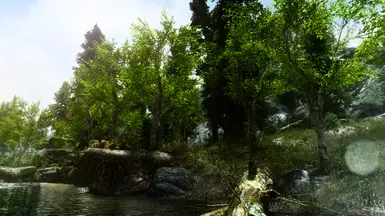 PhoenixVivid ENB Reshade Vivid Weathers 48 