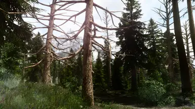 PhoenixVivid ENB Reshade Vivid Weathers 51 